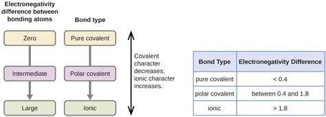 6.1: Electronegativity and Polarity .